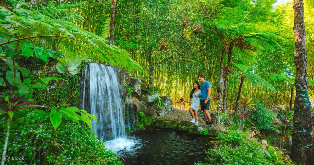 Maleny Botanic Gardens and Bird World Ticket Klook